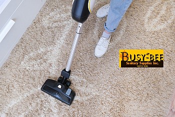 The Winter is the Best Time To Clean Your Carpet - Start with Busy Bee!