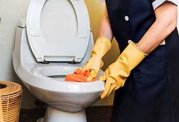 Restroom Maintenance Made Easy with Busy-Bee Sanitary Supplies